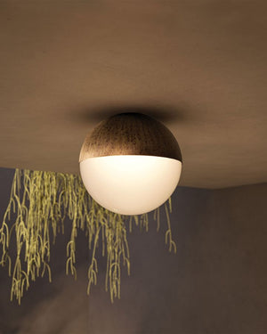 Outdoor Antique Brass Spherical Ceiling Light