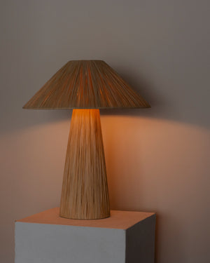 Woven Raffia Table Lamp | Lighting Collective