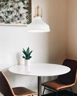 Minimal Dome Pendant - Lighting Collective