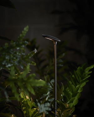 Minimalist 1 Light Spike Light