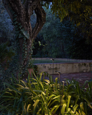 Minimalist 2 Light Spike Light