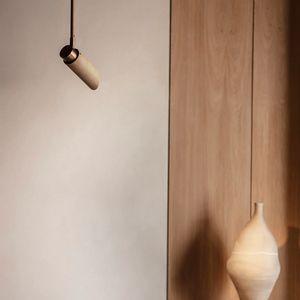 Modern Adjustable Angled Pendant Light | Satin Brass | Lighting Collective