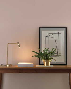 Modern Minimal Desk Lamp | Assorted Colours-Lighting Collective