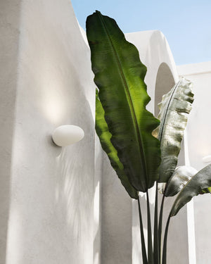 Organic White Resin Wall Sconce mounted on a wall next to green plant outdoors