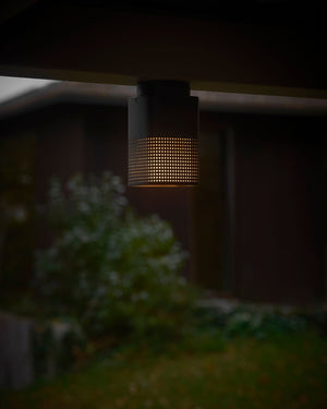 Ceiling light with perforated shade in black finish in front of garden