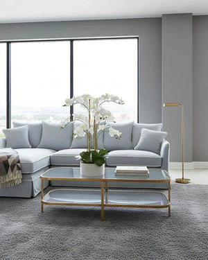Modern living room with a gray sectional sofa, glass coffee table, and decorative plant.