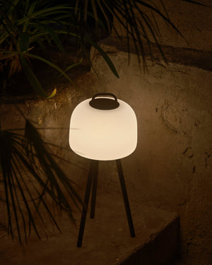 Scandinavian Transportable Table Lamp on black tripod with a warm glow, surrounded by plants against a textured wal - Lighting Collective 