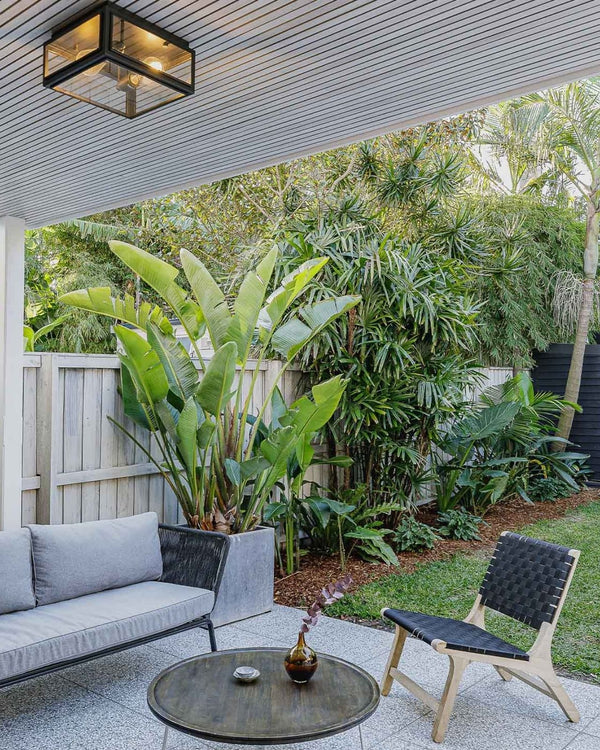 Traditional Aged Bronze Ceiling Light
