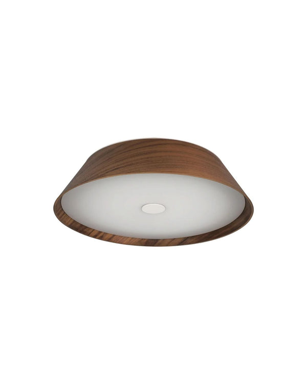 Walnut Timber LED Oyster Light