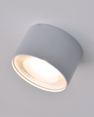 Surface Mounted White LED Downlight | Medium | Lighting Collective