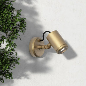 Coastal Brass Adjustable Wall Light