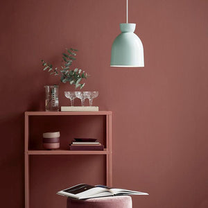 Soft Curved Pendant Light