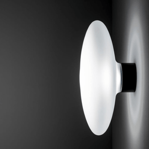 Contemporary Flattened Wall Lamp